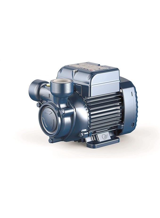 0.5 HP Electric Water Pump