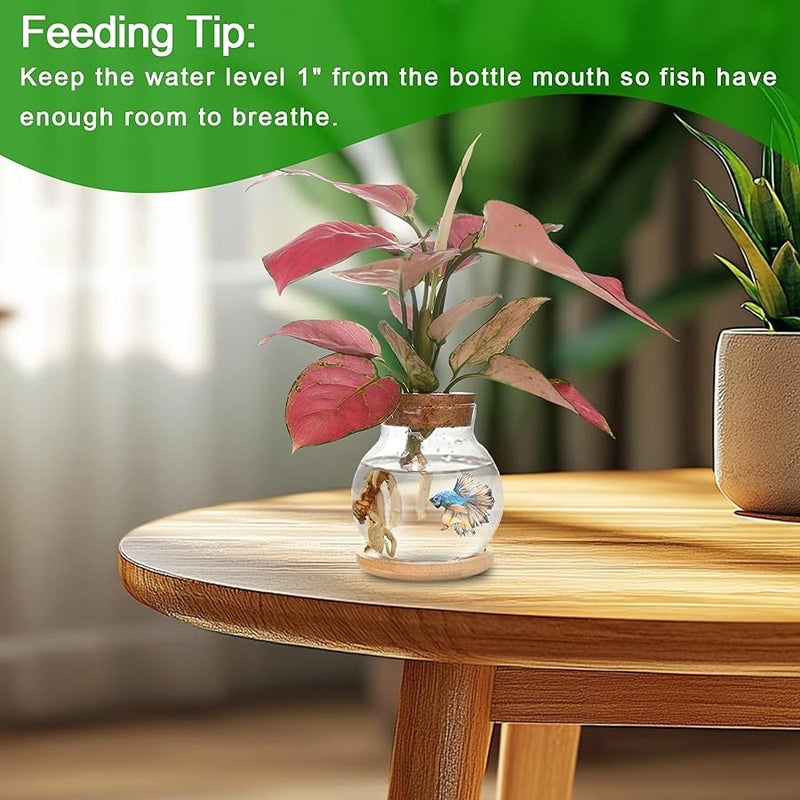 CHPINDAM Plant Propagation Station,Hydroponic Glass Container Vase Jars, with Wooden Saucer for Desks, Houses, Garden Decorations, Home Kitchen Decorations and Gifts for Plant Lovers(2PCS) - Image 5