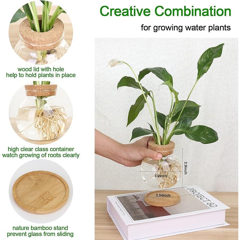 CHPINDAM Plant Propagation Station,Hydroponic Glass Container Vase Jars, with Wooden Saucer for Desks, Houses, Garden Decorations, Home Kitchen Decorations and Gifts for Plant Lovers(2PCS) - Image 2