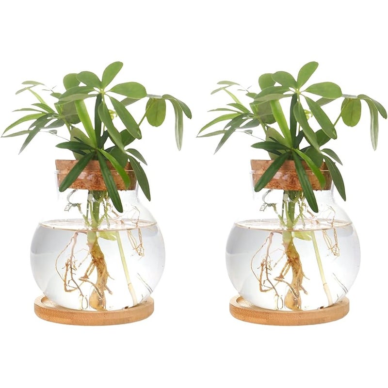 CHPINDAM Plant Propagation Station,Hydroponic Glass Container Vase Jars, with Wooden Saucer for Desks, Houses, Garden Decorations, Home Kitchen Decorations and Gifts for Plant Lovers(2PCS) - Image 1