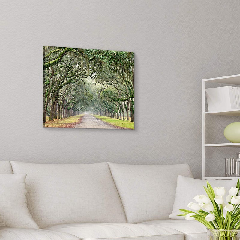 Hardy Gallery Landscape Artwork Pictures Canvas Prints: Spanish Moss Covered Green Oak Trees on Forest Path in Fall Photographic Image for Wall Arts (24" x 18") - Image 3