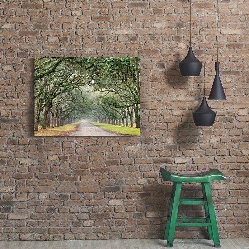 Hardy Gallery Landscape Artwork Pictures Canvas Prints: Spanish Moss Covered Green Oak Trees on Forest Path in Fall Photographic Image for Wall Arts (24" x 18") - Image 2
