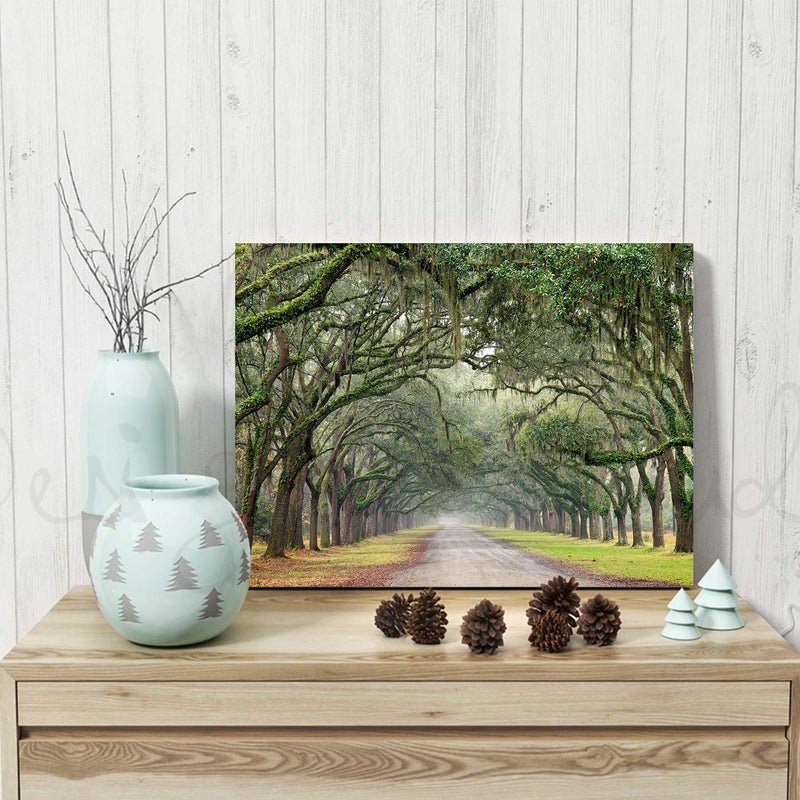 Hardy Gallery Landscape Artwork Pictures Canvas Prints: Spanish Moss Covered Green Oak Trees on Forest Path in Fall Photographic Image for Wall Arts (24" x 18") - Image 4