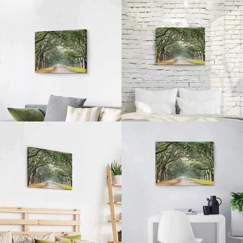 Hardy Gallery Landscape Artwork Pictures Canvas Prints: Spanish Moss Covered Green Oak Trees on Forest Path in Fall Photographic Image for Wall Arts (24" x 18") - Image 5