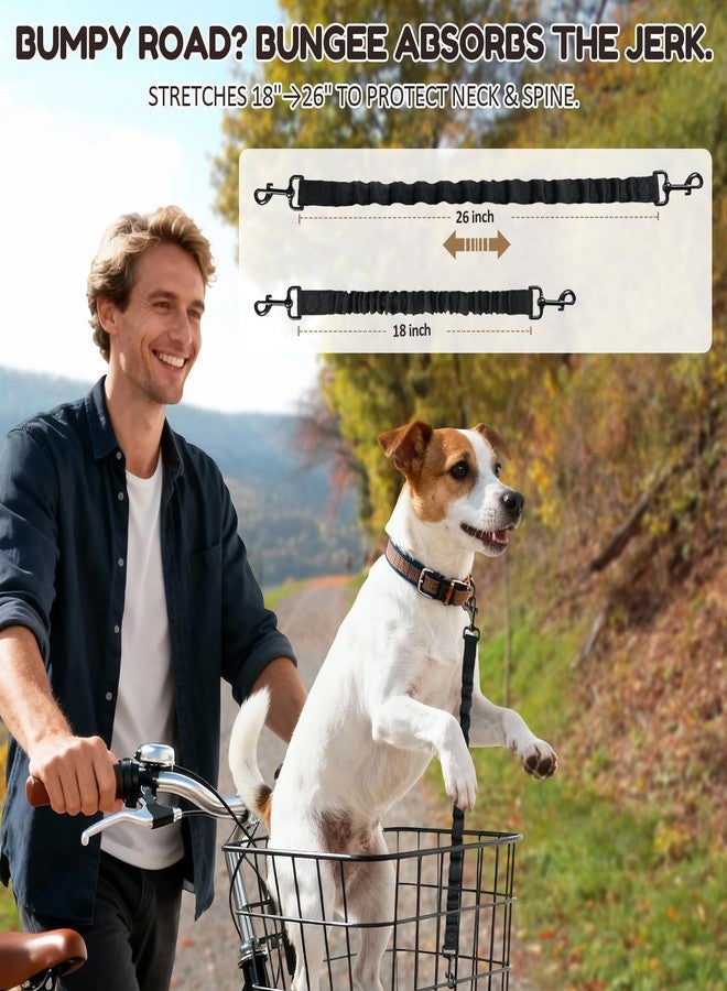 MiToBeLe 2Pack Dog Seat Belt for Bike Basket,Retractable Pupper Leash for Bike Basket,Canine Bikes Basket Leash,Elastic Pet Seat Belt for Dogs,Seatbelt Leashs for Dogs (Black) - Image 4