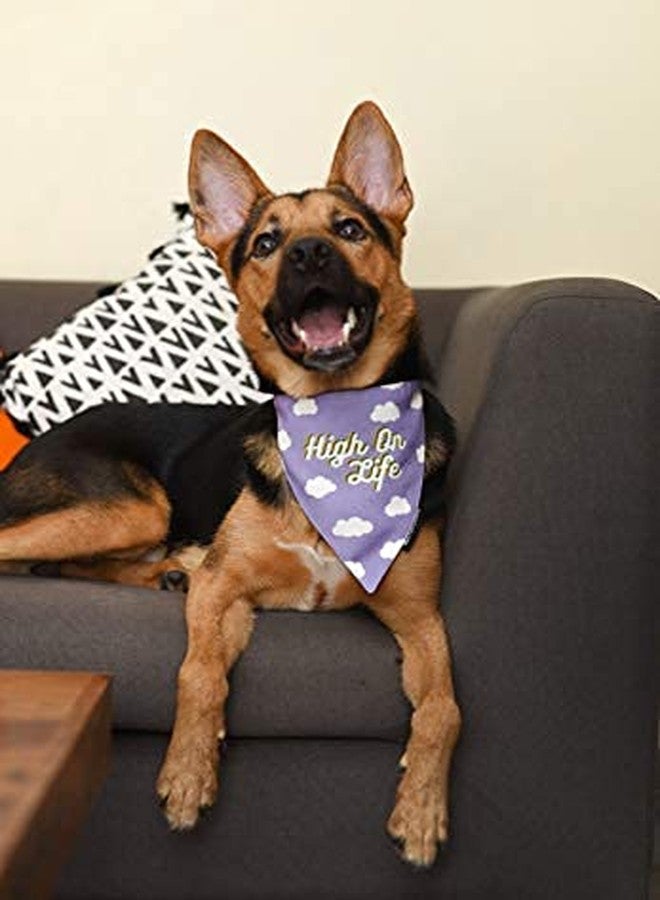Mutt of Course High on Life Bandana for Dogs - Image 2
