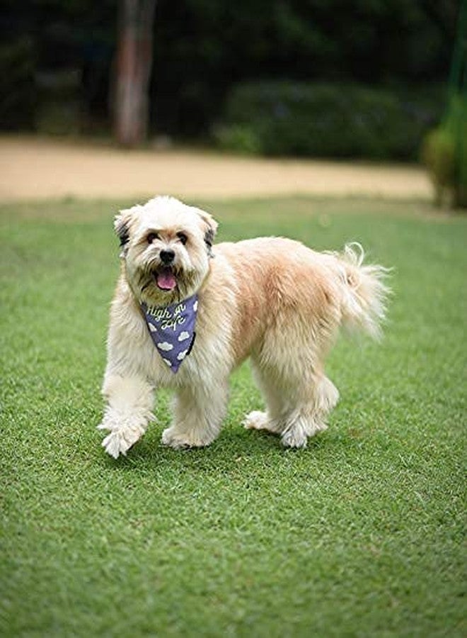 Mutt of Course High on Life Bandana for Dogs - Image 3