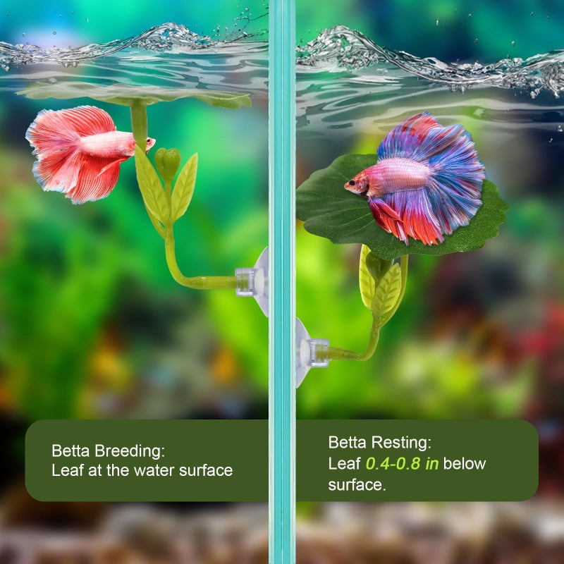 EQUNROY 5PCS Betta Hammock & Fish Toys Set, Soft Aquarium Plants & Black Tunnel Hideout for Betta Fish Tank, Safe Decor with Suction Cups for Shrimp, SmallFish - Image 5