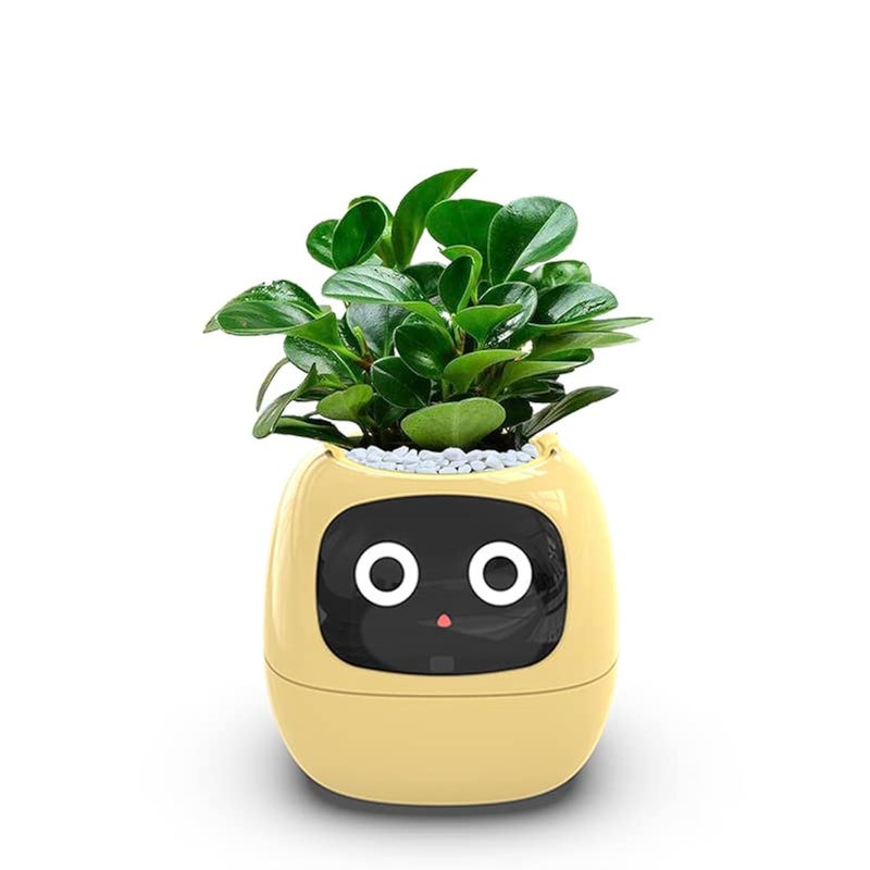 Smart FlowerpotsSmart Pet PlanterAi PlanterIntelligent FlowerpotsMultiple Expressions7 Smart Sensors And Ai Chips Make Raising Plants Easy And Fun For Living RoomDeskPlantfree Yellow