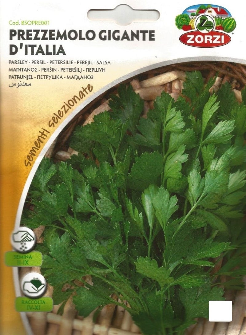 ZORZI Parsley Seeds
