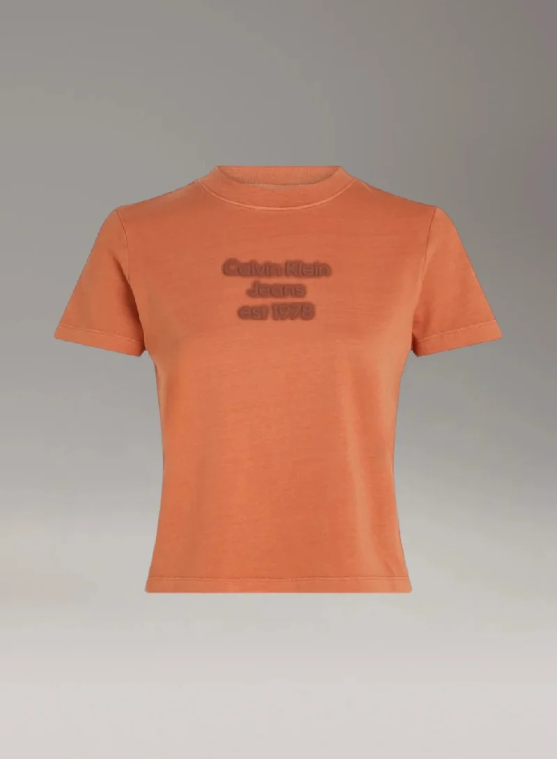 Calvin Klein Jeans Slim Washed Logo T-shirt