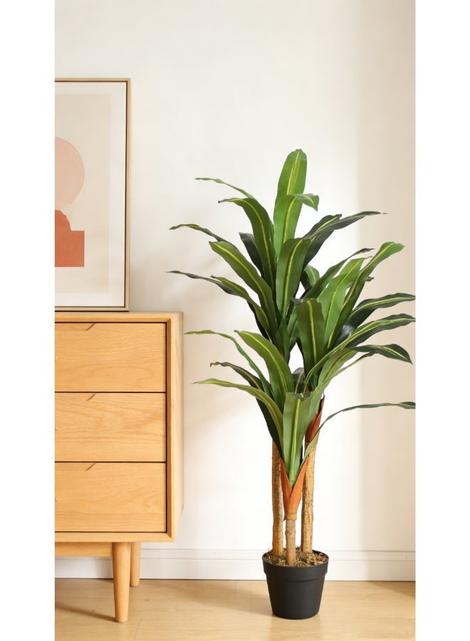 Dracaena 120cm (3.94ft) Artificial Tree with Pot | Floor Plant with Lifelike Design & Texture - Green | Decorative Indoor Tree for Home, Living Room, Study & Office spaces