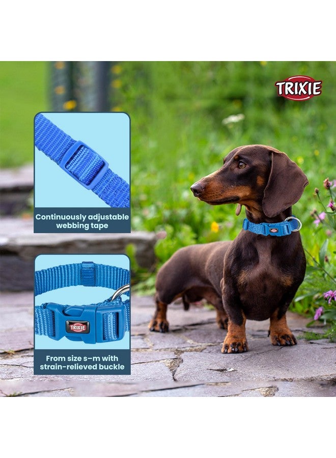 تريكسي حزام طوق للكلاب عالي الجودة، تصميم أنيق، شريط شبكي قابل للتعديل، تخفيف الضغط، مع موصل مقود، طوق رقبة للحيوانات الأليفة للكلاب، 30-45 سم (صغير، أزرق ملكي) - عبوة من 3 قطع - Image 2