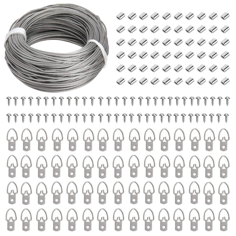 Blisstime Picture Hanging Kit - 100 Feet Stainless Steel Hanging Wire, 60 Pcs D Ring Picture Hangers with Screws and 60 Pcs Aluminum Crimping Loop Sleeve for Hanging Paintings Photos - Image 1