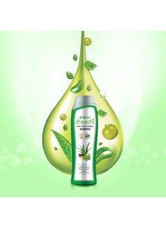 dhathri Plus Oil - 200Ml & Dheedhi Daily Herbal Shampoo - 200Ml  - Image 5