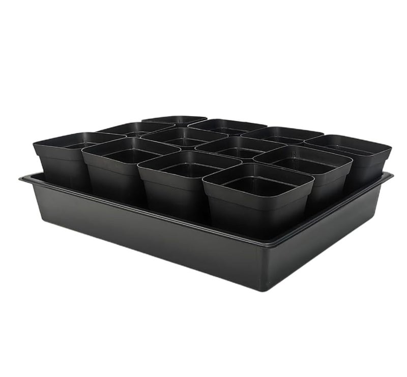 RooTrimmer 3.5 inch (9CM) Square Nursery Pots 60pcs, Sturdy Seedlings Trays 5 Pcs, Seeds Starter Germination Tray, Microgreenings Planter Nursery Propagation 5 Sets - Image 1