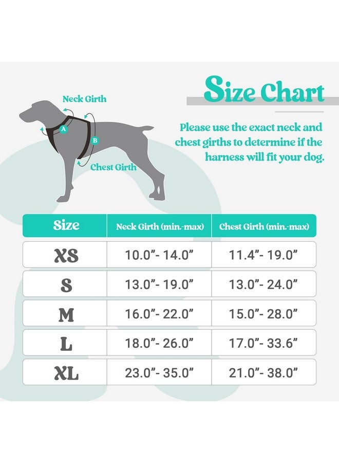رابيتجو حزام كلاب من rabbitgoo، حزام لا يسحب للحيوانات الأليفة مع مشبكين للمقود، سترة ناعمة مبطنة قابلة للتعديل للكلاب، سترة أكسفورد عاكسة لا تخنق الحيوانات الأليفة مع مقبض تحكم سهل للكلاب الكبيرة، أسود وفيروزي، مقاس كبير - Image 2
