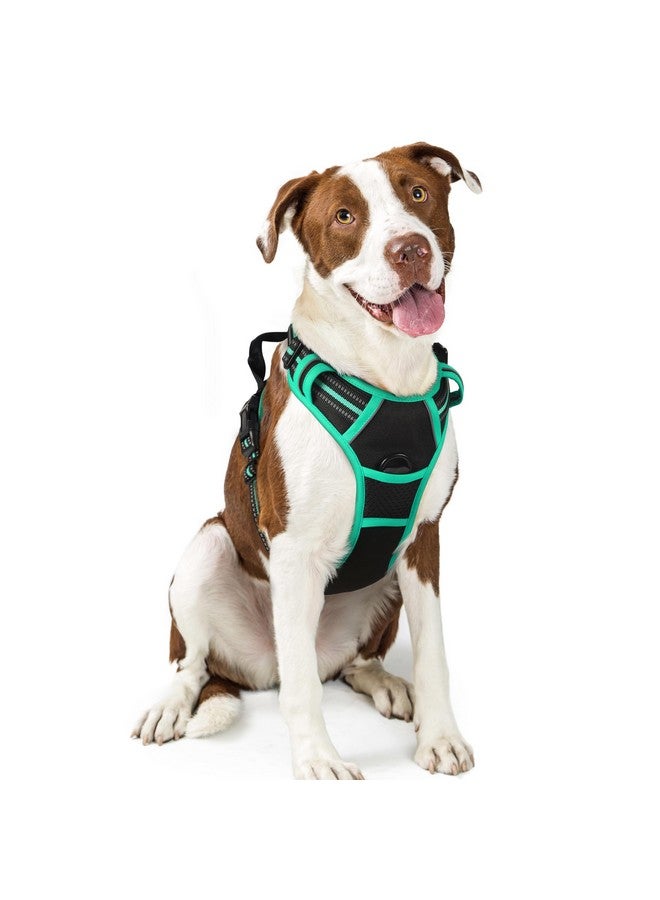 رابيتجو حزام كلاب من rabbitgoo، حزام لا يسحب للحيوانات الأليفة مع مشبكين للمقود، سترة ناعمة مبطنة قابلة للتعديل للكلاب، سترة أكسفورد عاكسة لا تخنق الحيوانات الأليفة مع مقبض تحكم سهل للكلاب الكبيرة، أسود وفيروزي، مقاس كبير - Image 1