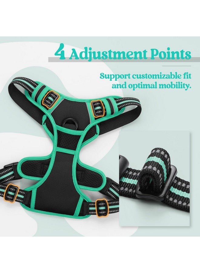 رابيتجو حزام كلاب من rabbitgoo، حزام لا يسحب للحيوانات الأليفة مع مشبكين للمقود، سترة ناعمة مبطنة قابلة للتعديل للكلاب، سترة أكسفورد عاكسة لا تخنق الحيوانات الأليفة مع مقبض تحكم سهل للكلاب الكبيرة، أسود وفيروزي، مقاس كبير - Image 5