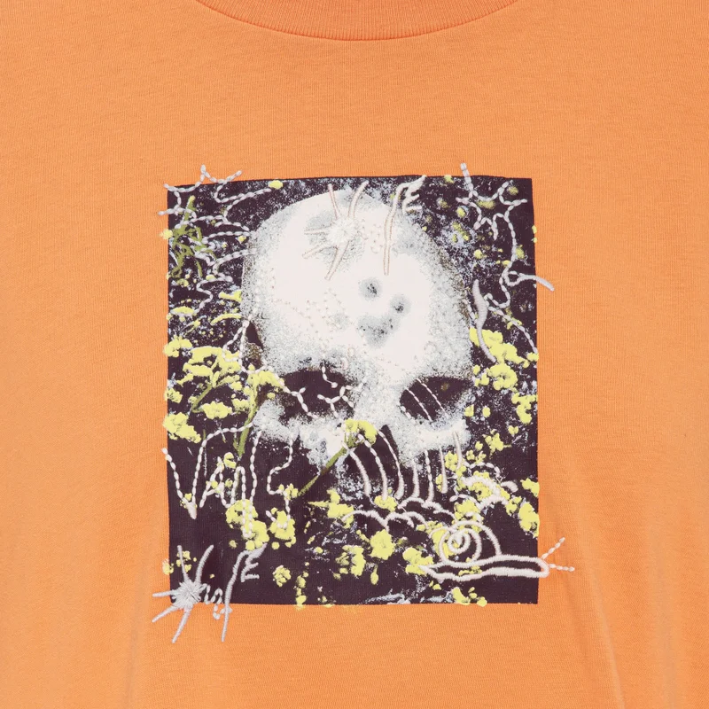 Vans Orange Women's Skate Classics Crop Top for Women | Best Price UAE