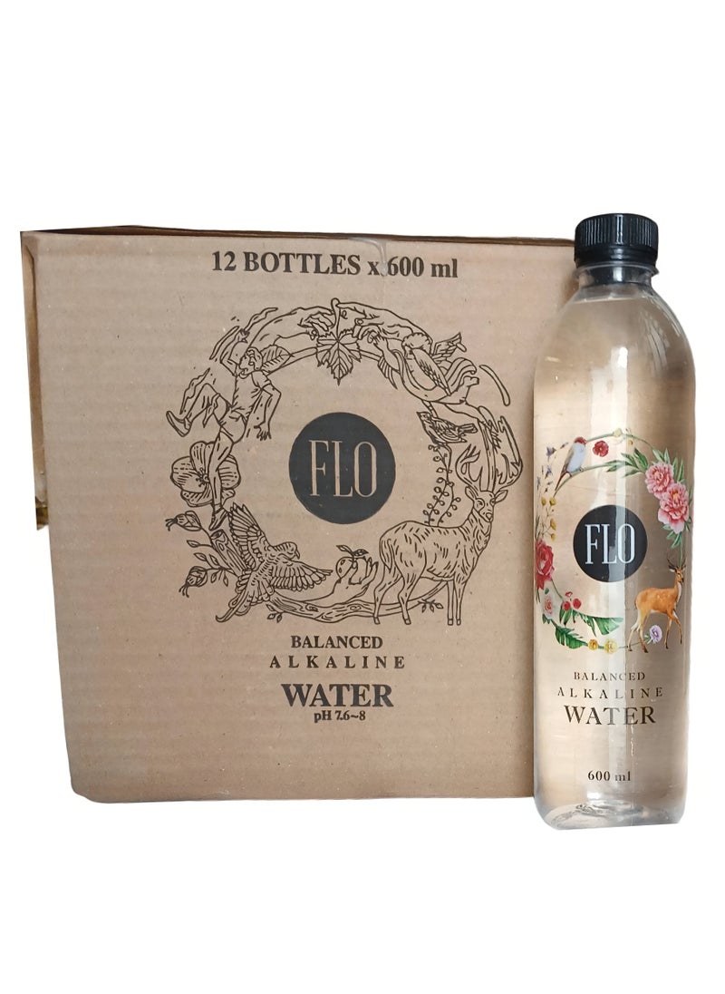FLO Flo water carton 600 ml 12 pieces 