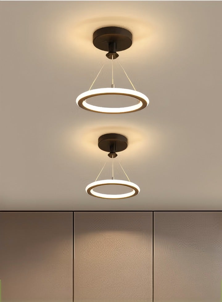 DUNISO ضوء سقف LED، ضوء ممر ثلاثي الألوان قابل للتعتيم، ضوء سقف حديث، 19 واط، موفر للطاقة، سهل التنظيف، مناسب للممرات، غرف المعيشة، غرف النوم، المطابخ، قطر 20 سم - Image 1