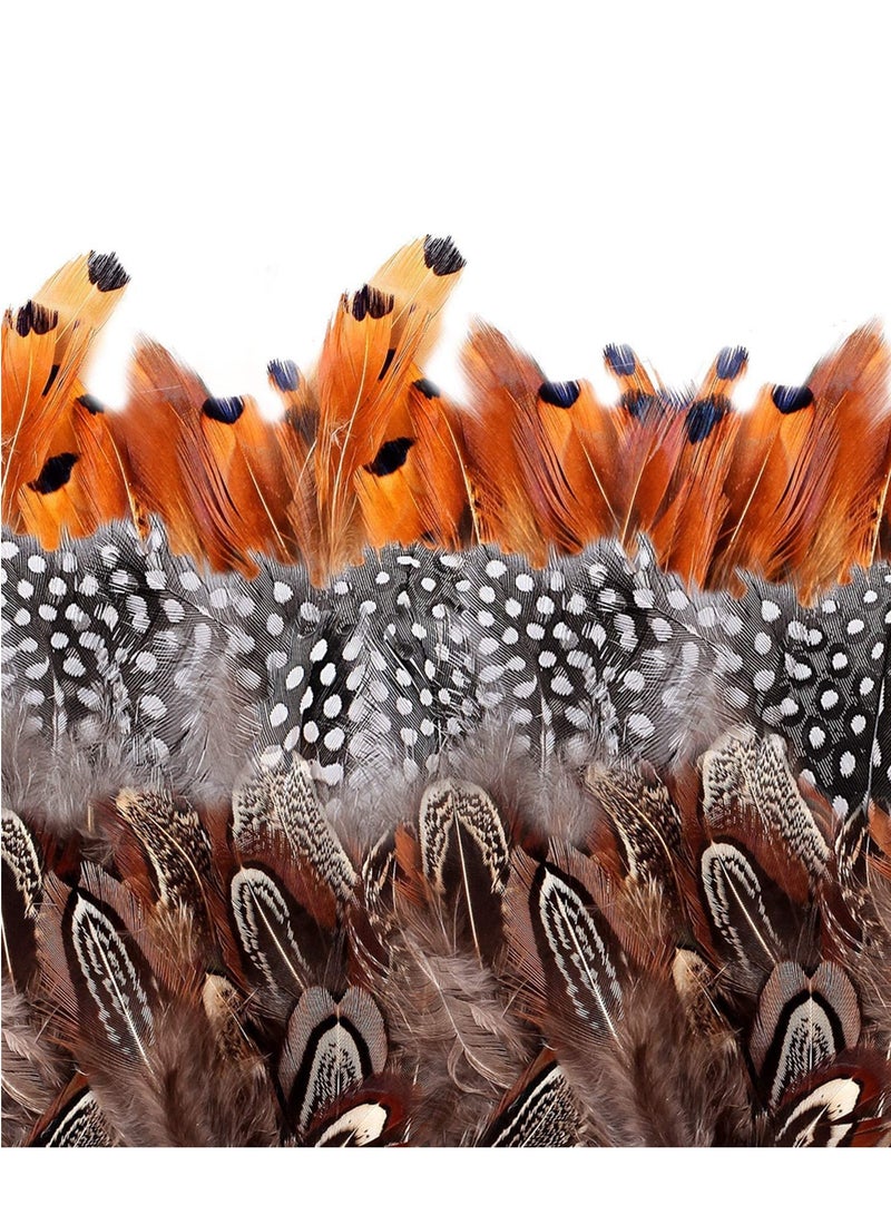 Excefore Brown Feathers, 350pcs Natural Speckled Feathers for DIY Dream Catcher Crafts, costumes, hats handicrafts, home decor, DIY decoration (Length 2-3.2") - Image 1