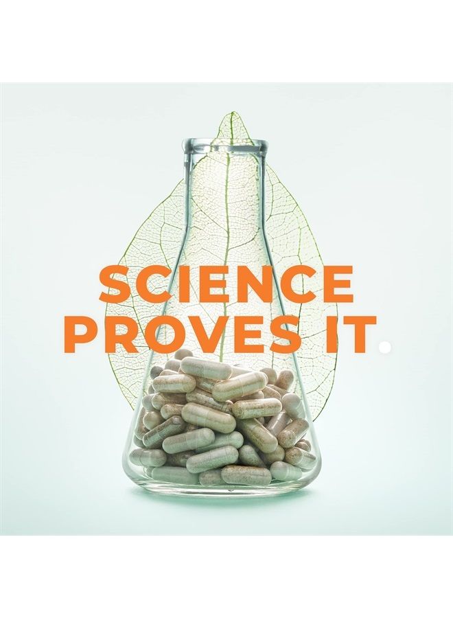 Life Seasons Rest-ZZZ - Powerful Sleep Support Supplement - Fall Asleep & Stay Asleep - Calms The Nervous System - Naturally Ease Muscle Tension & Restlessness - Low Dose Melatonin GABA & Chamomile - 120 Capsules - Image 5