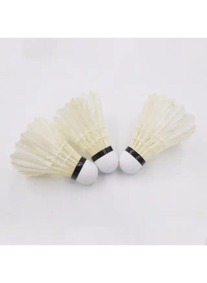 كرة الريشة لرياضة ملعب كرة الريشة عبوة 12  قطع - Image 2