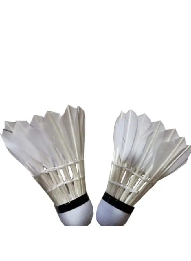 كرة الريشة لرياضة ملعب كرة الريشة عبوة 12  قطع - Image 4