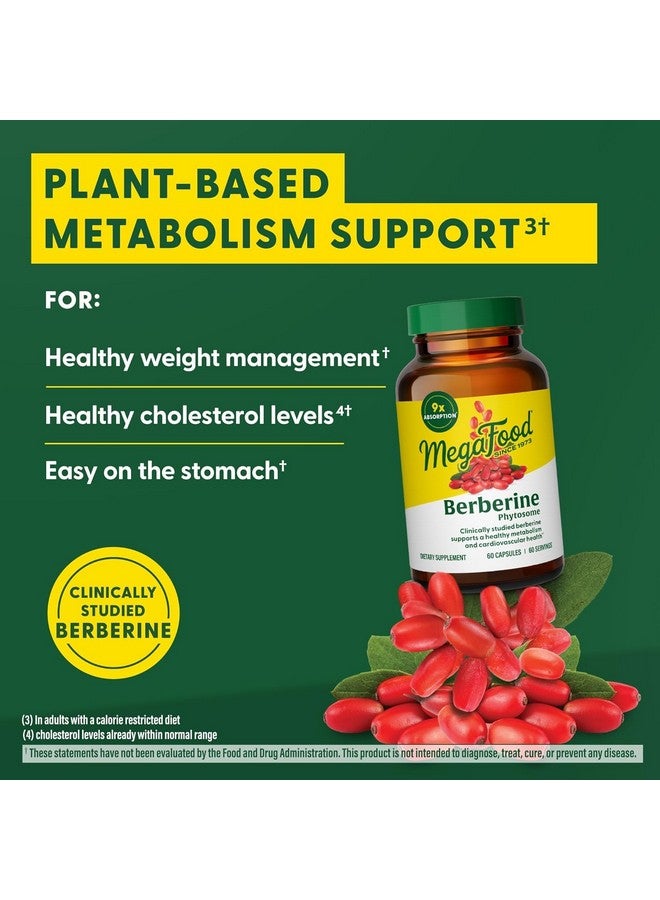 ميغافود ميجا فود بربارين فايتوسوم - مكمل بربارين ٥٥٠ ملغ لكل حصة، ١١٠٠ ملغ يوميًا - امتصاص ٩ أضعاف - يدعم عملية التمثيل الغذائي الصحي ومستويات الكوليسترول - نباتي - ٦٠ كبسولة، إمداد لمدة ٣٠ يومًا - Image 4