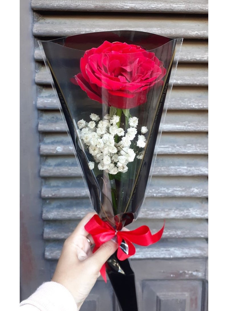 Generic Simple Red Rose 
