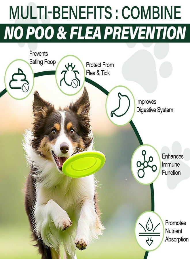 NEXZL 200 Chews Flea and Tick Prevention Chews-No Poo Chew for Dogs-2 in 1 Control Coprophagia & Flea Tick Supplement-Natural Soft Treats Deterrent Eat Poop with Digestive Enzymes Probiotics-Chicken - Image 2