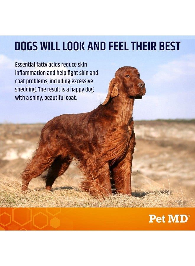 بيت إم دي قطع سمك السلمون أوميجا من بيت إم دي للكلاب - مكمل غذائي للجلد والفراء مع أوميجا 3 و6 للكلاب بالإضافة إلى حمض الدوكوساهيكسانويك وحمض إيكوسابنتينويك - يعزز تخفيف الحساسية وجفاف الجلد - 120 قرصًا - Image 3