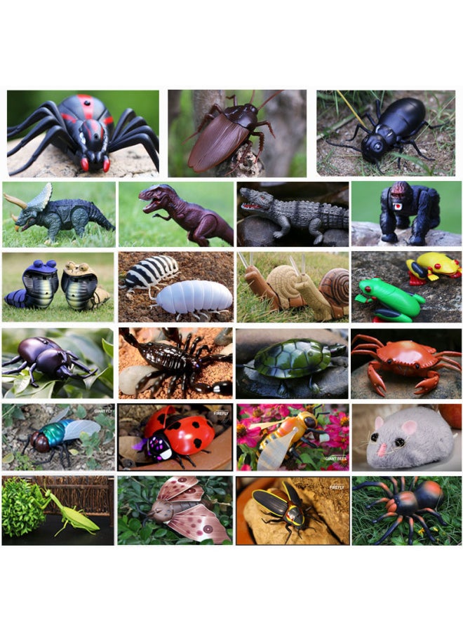 Realistic Remote Control Snake Prank Electric Scary Toy Insect Animal Shake Control Cockroach Centipede Novelty Gag Gift-Color:7701 Snail-yellow Shell  - Image 3