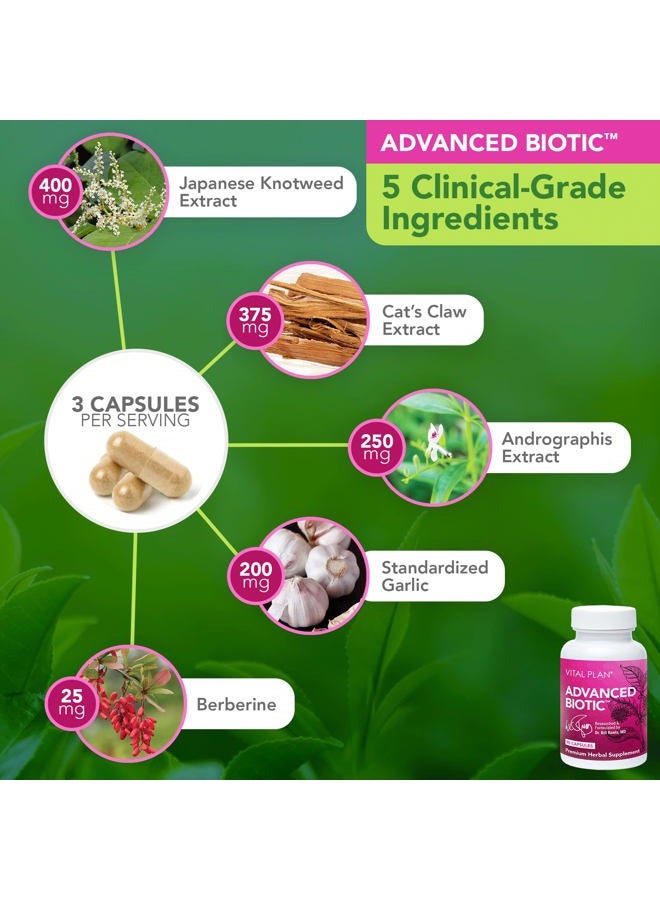 Vital Plan Immune Support Supplements by Dr. Bill Rawls – Immune Boost Bundle w/ Japanese Knotweed, Cat's Claw, Chinese Skullcap & Reishi Mushroom - Image 3