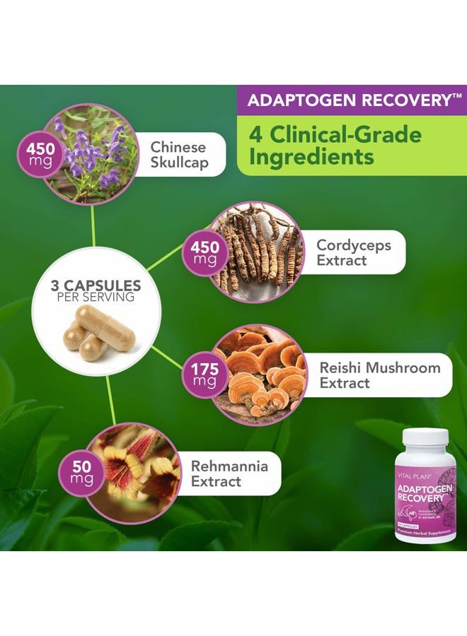 Vital Plan Immune Support Supplements by Dr. Bill Rawls – Immune Boost Bundle w/ Japanese Knotweed, Cat's Claw, Chinese Skullcap & Reishi Mushroom - Image 5