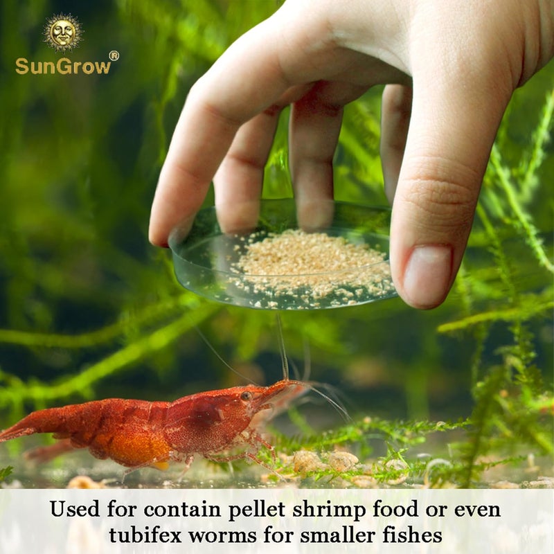 SunGrow Tough Borosilicate Glass Shrimp Feed Dish, 2.5 Inches Wide and 0.5 Inch Deep, Avert Food Spilling, Heavy-Duty, Transparent Basin for Shrimp Food or Fish's Tubifex Worms - Image 4