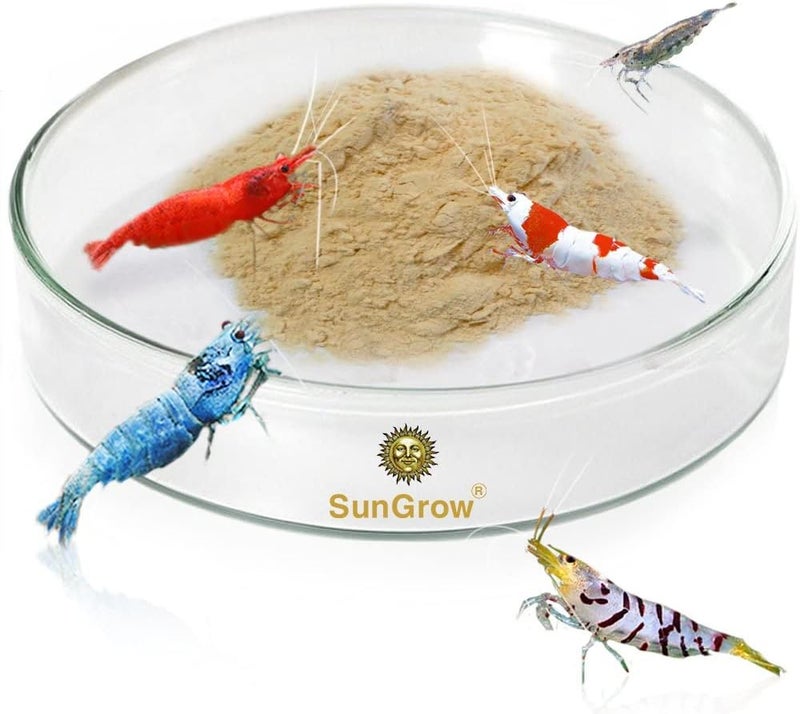 SunGrow Tough Borosilicate Glass Shrimp Feed Dish, 2.5 Inches Wide and 0.5 Inch Deep, Avert Food Spilling, Heavy-Duty, Transparent Basin for Shrimp Food or Fish's Tubifex Worms - Image 1