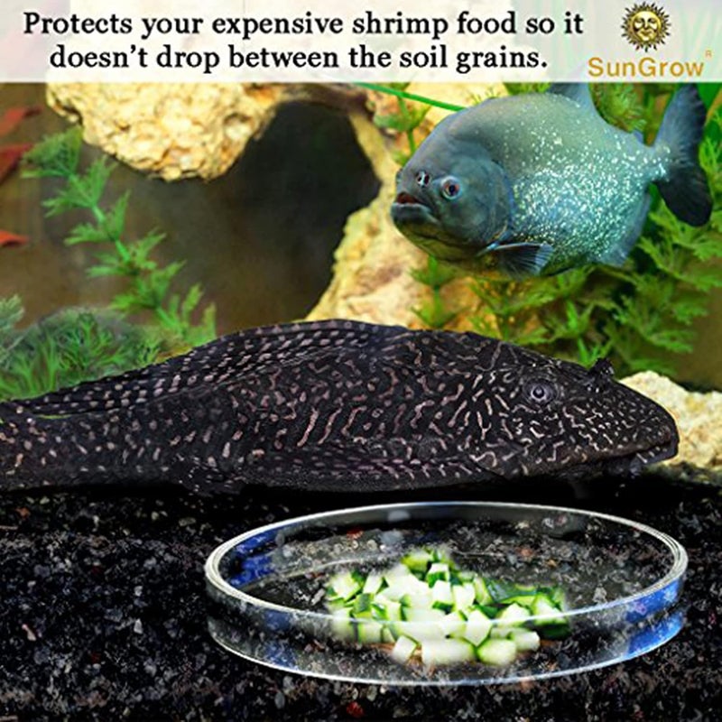 SunGrow Tough Borosilicate Glass Shrimp Feed Dish, 2.5 Inches Wide and 0.5 Inch Deep, Avert Food Spilling, Heavy-Duty, Transparent Basin for Shrimp Food or Fish's Tubifex Worms - Image 5