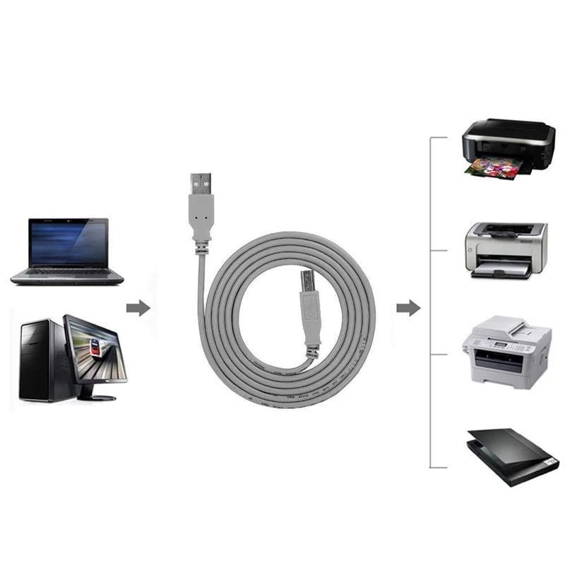 Terabyte كابل طابعة USB 3.0 عالي السرعة بطول 5 متر متوافق مع HP و Canon وكابل الماسح الضوئي A USB ذكر إلى B طابعة ذكر (متوافق مع الكمبيوتر والطابعة واللابتوب) - Image 5