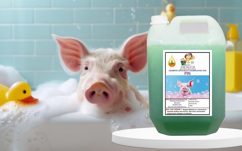 Swacch Shampoo Specially Formulated for Pig 5 Litre Neem Alovera - Image 2