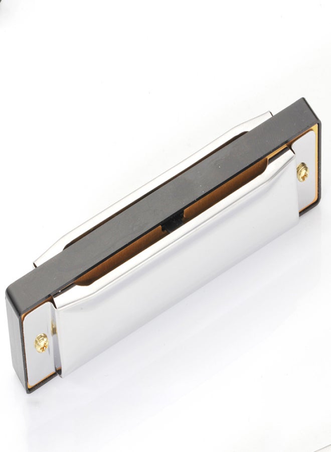 Blues Harmonica 10 Holes for Beginners - Image 4