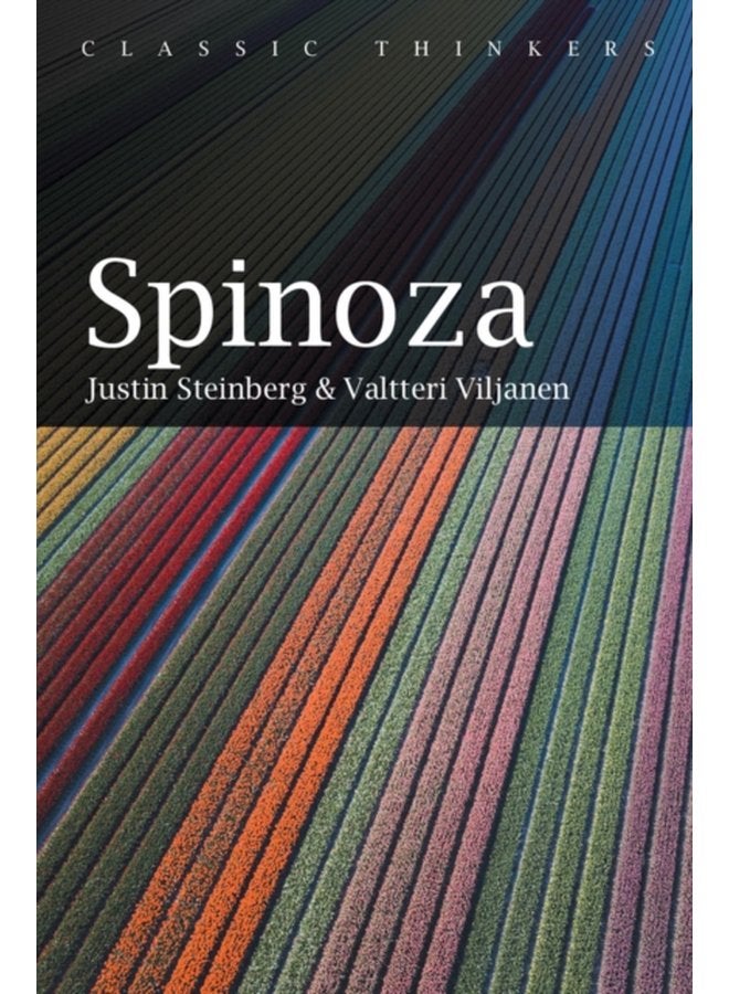 Spinoza - Paperback