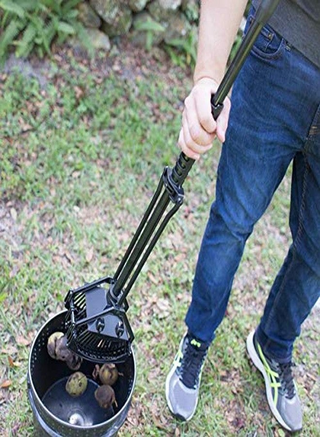 Bag-A-Nut Stab-A-Nut Black Walnut Picker Upper - (Medium/Large - for Nuts 2-1/4" to 4") A9004-BW - Image 4