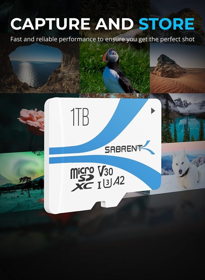 SABRENT Rocket V30 A2 1TB MicroSDXC Memory Card R100MB/s W30MB/s Compatible with Steam Deck, Nintendo-Switch, Go Pro, Cameras, Smartphones. (SD-MQ30-1TB) - Image 2