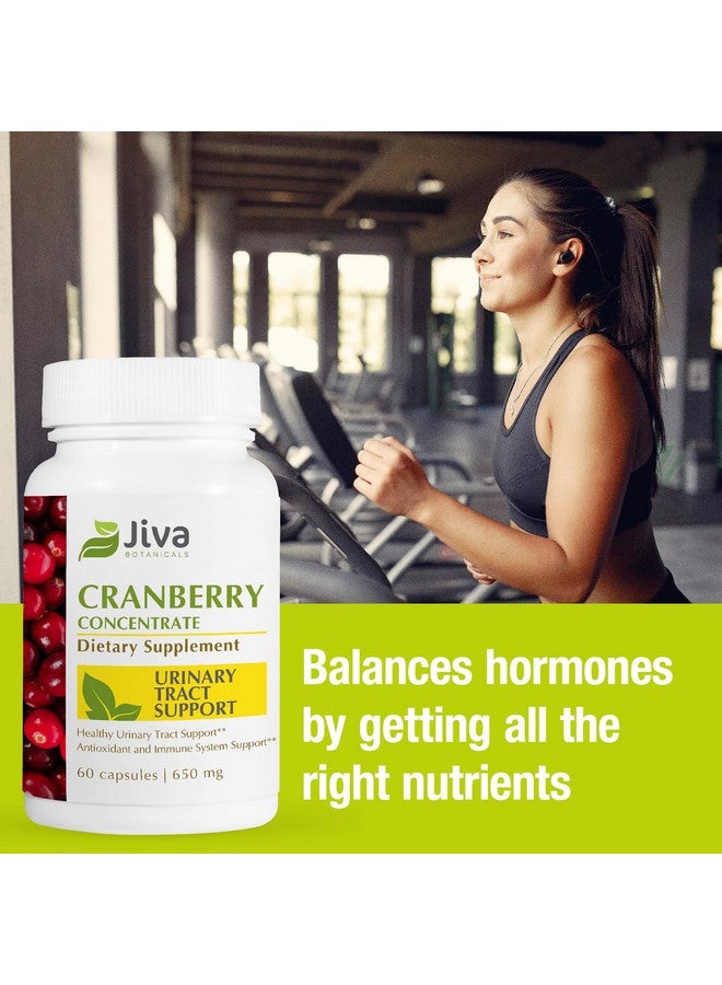 Jiva Botanicals Cranberry Pills for Women 650 mg - Concentrated Cranberry Supplement Powder Extract - High Potency - Cranberry Capsules for Normal Urinary Tract Health and Normal Kidney Support - Image 3