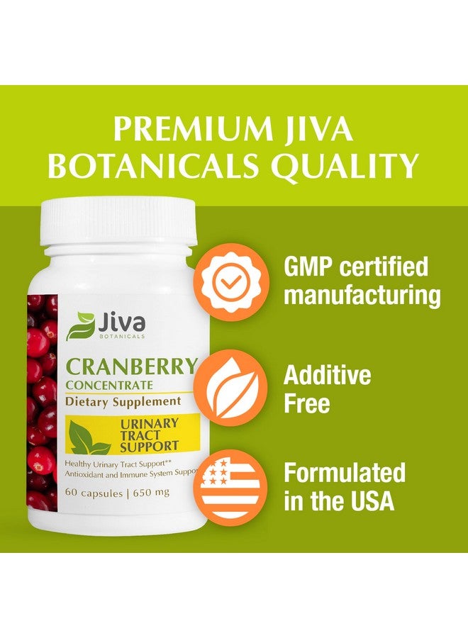 Jiva Botanicals Cranberry Pills for Women 650 mg - Concentrated Cranberry Supplement Powder Extract - High Potency - Cranberry Capsules for Normal Urinary Tract Health and Normal Kidney Support - Image 4