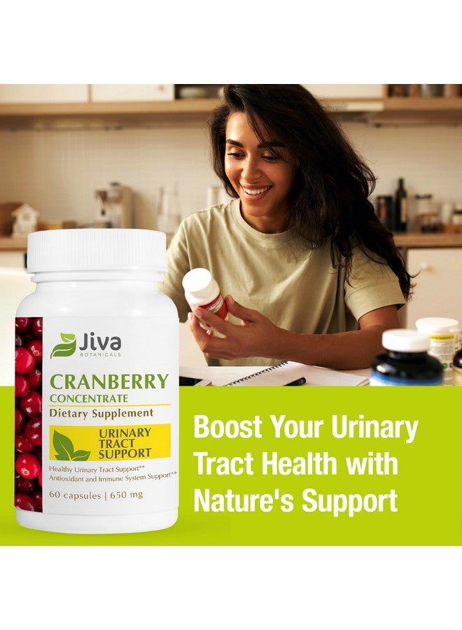 Jiva Botanicals Cranberry Pills for Women 650 mg - Concentrated Cranberry Supplement Powder Extract - High Potency - Cranberry Capsules for Normal Urinary Tract Health and Normal Kidney Support - Image 2