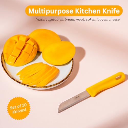 rena 10 Piece 90 mm Serrated Kitchen Knife Set Sharp Stainless Steel Knife Set for Kitchen Use, for Fruits, Vegetables, Bread. Rust Resistant, Dishwasher Safe, Durable & Long Lasting - Image 3
